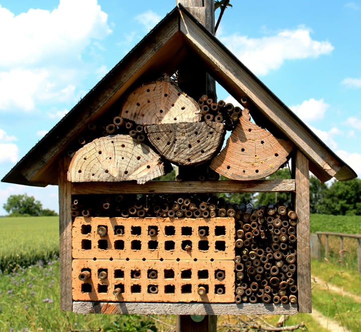 casa de abejas con techo