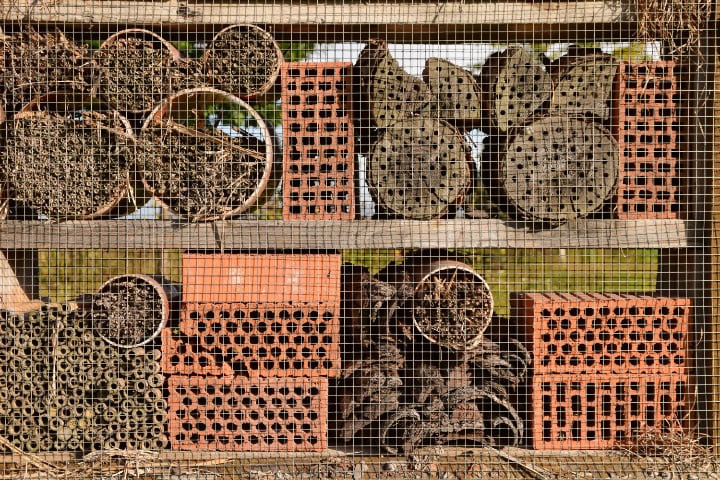 casa de abejas de bloques de cemento
