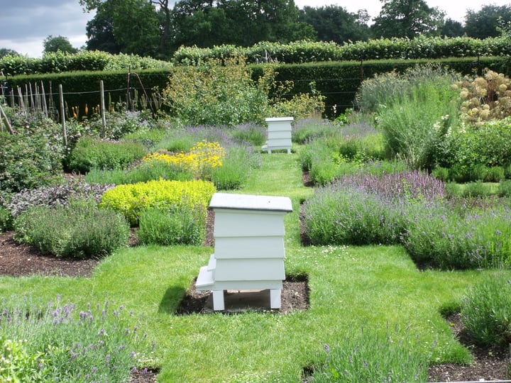 colmenas de abejas de jardín