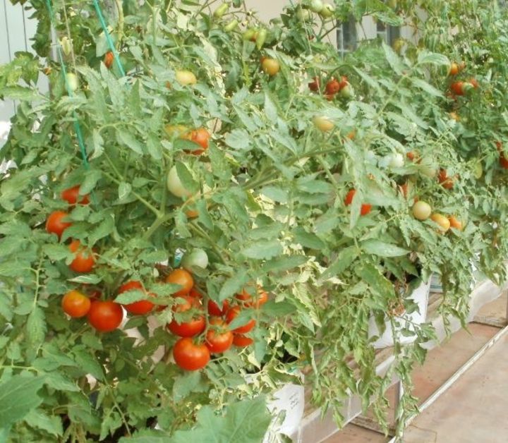 jardinería en terraza