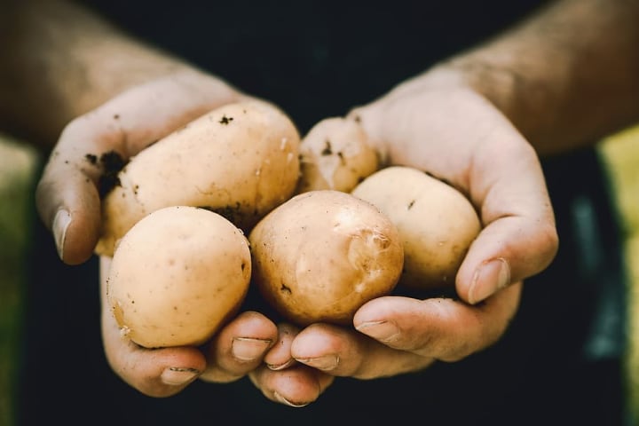 Cultivo de Patatas En Interiores