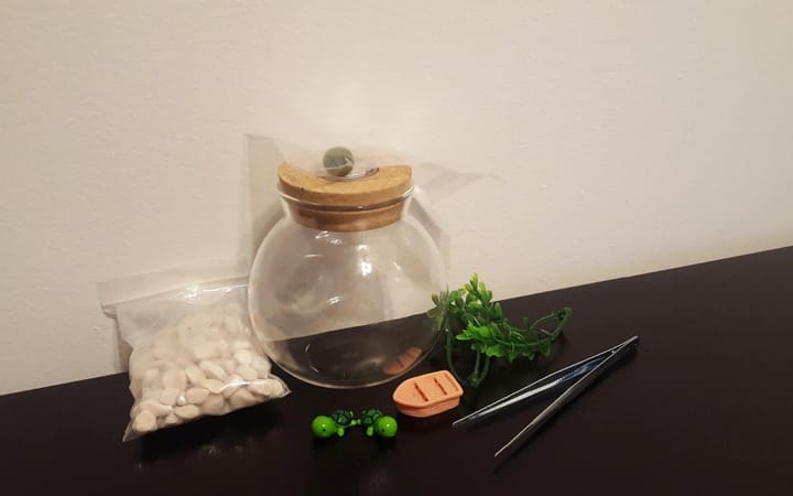 cómo construir un jarrarium