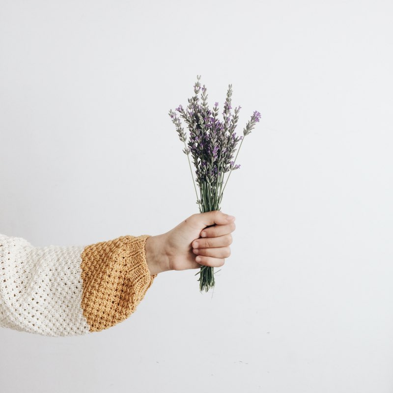 flores de lavanda para el día de la madre