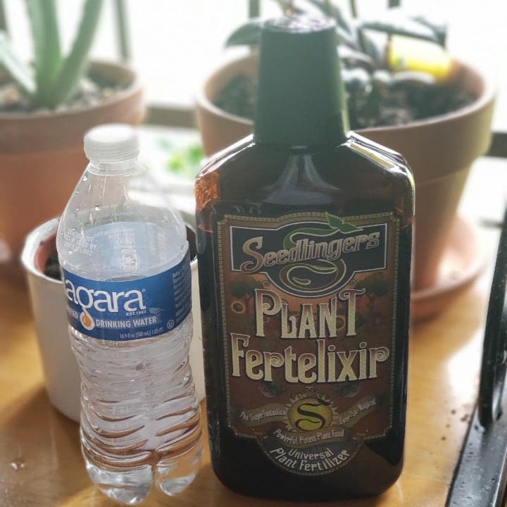 fertilizante líquido para geranios