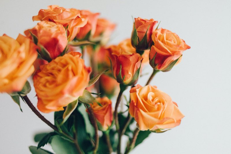 flores naranjas para el día de la madre