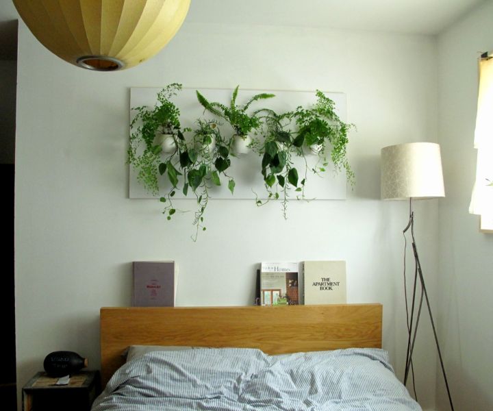 pared de plantas en el dormitorio