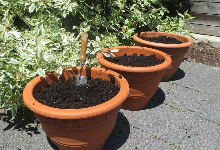 plantar semillas en el jardín de la terraza