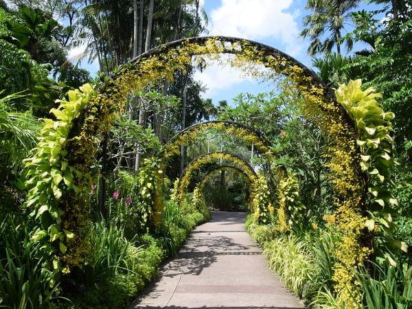 Jardines Botánicos de Singapur