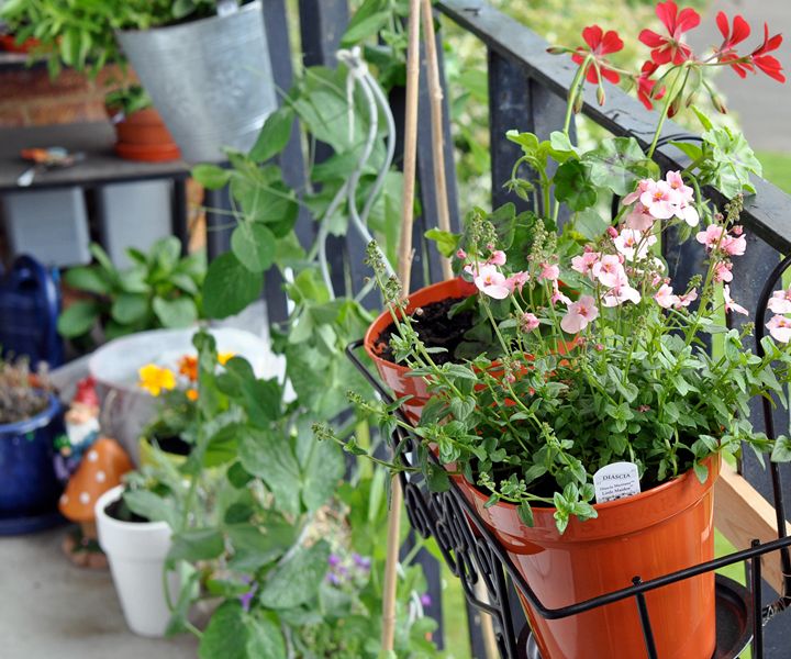 bolsas de cultivo para jardinería en terrazas