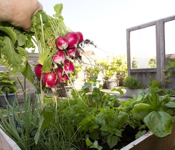 ideas de jardinería en terrazas