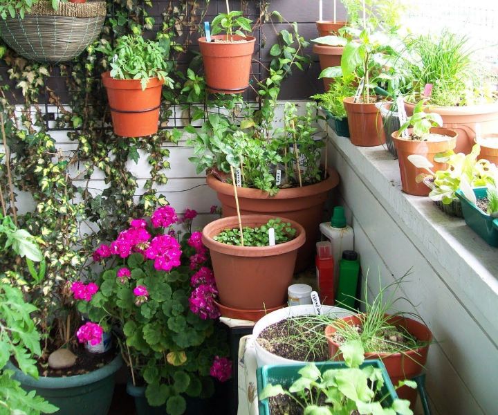 imágenes de jardinería en terrazas