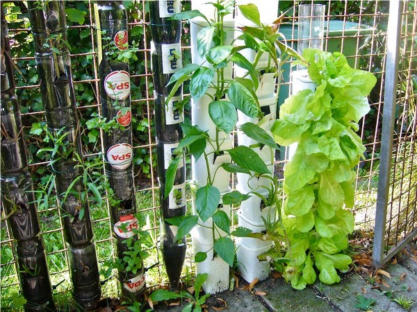 Sistemas Verticales de Horticultura