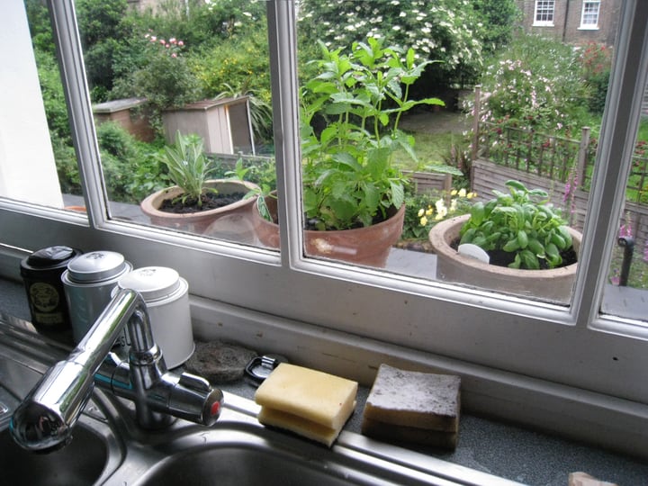 ventana jardín de hierbas en el fregadero de la cocina