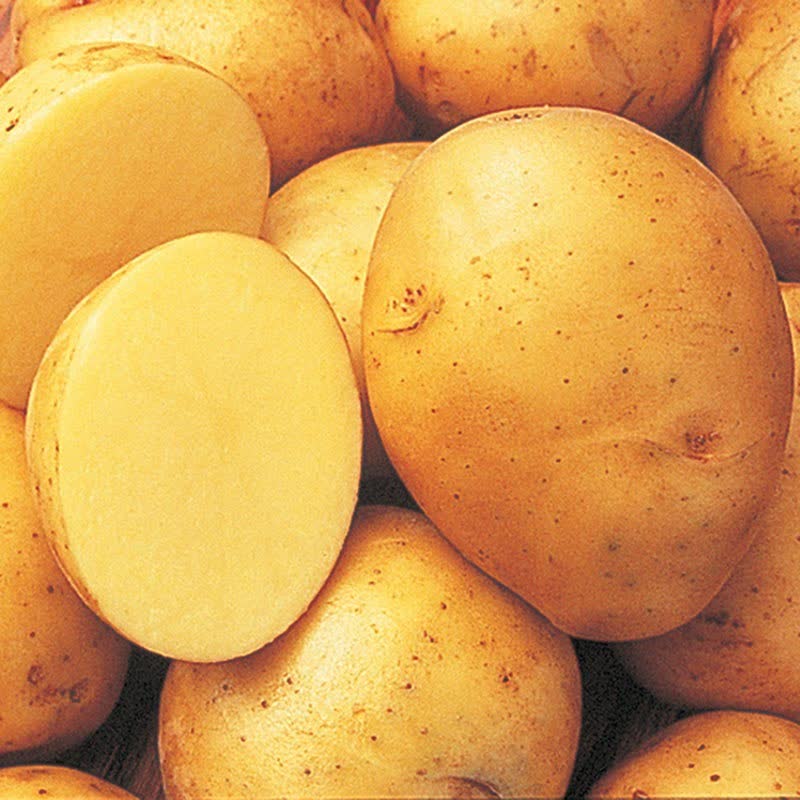 patatas doradas yokon